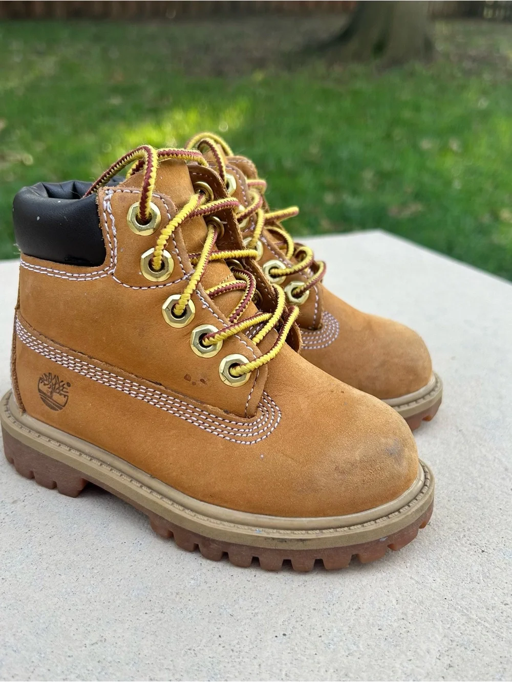 Timberland Toddler 6-Inch Premium Waterproof Boots Size 6